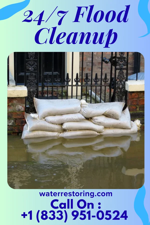 24/7 Flood Cleanup in Indian Village, IN