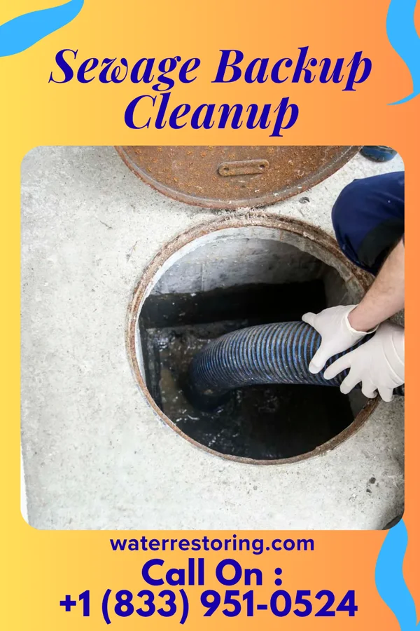 Sewage Backup Cleanup in Indian Village, IN